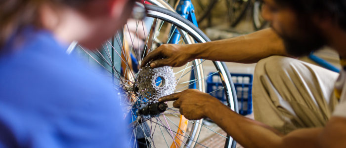 the freewheel bike shop