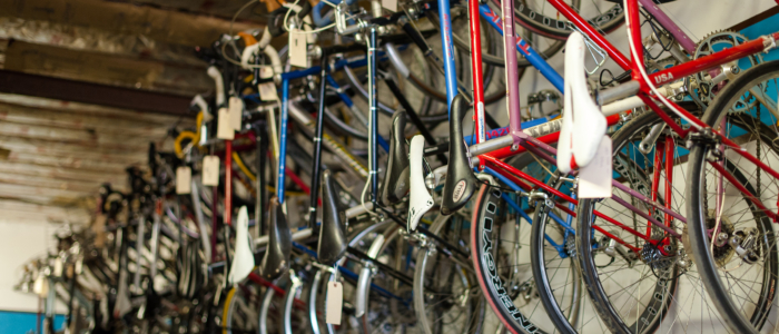 the freewheel bike shop